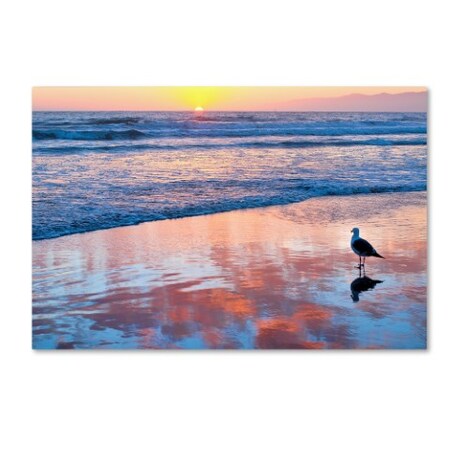 Trademark Fine Art Lori Hutchison 'Venice Beach Sunset' Canvas Art, 22x32 ALI12691-C2232GG
